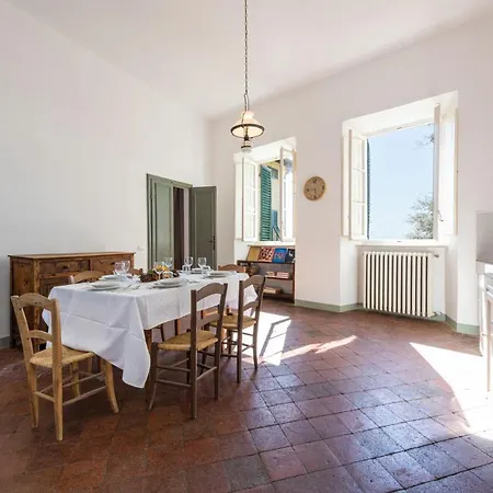 Leone By Mmega * 科洛迪