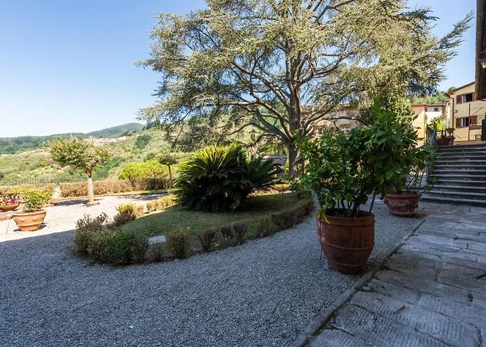 Leone By Mmega * 콜로디